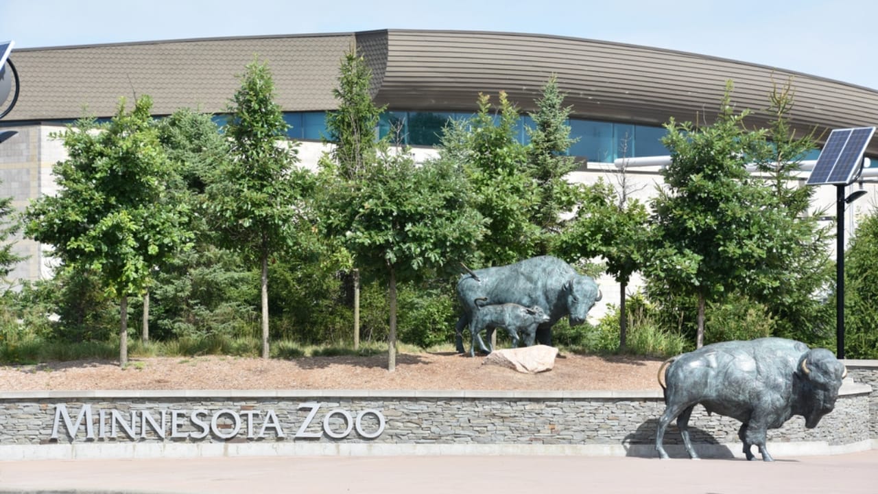 America's Wildlife Wonderlands: The 13 Largest Zoos to Explore 8 America's Wildlife Wonderlands: The 13 Largest Zoos to Explore - Minnesota Zoo dp167096316