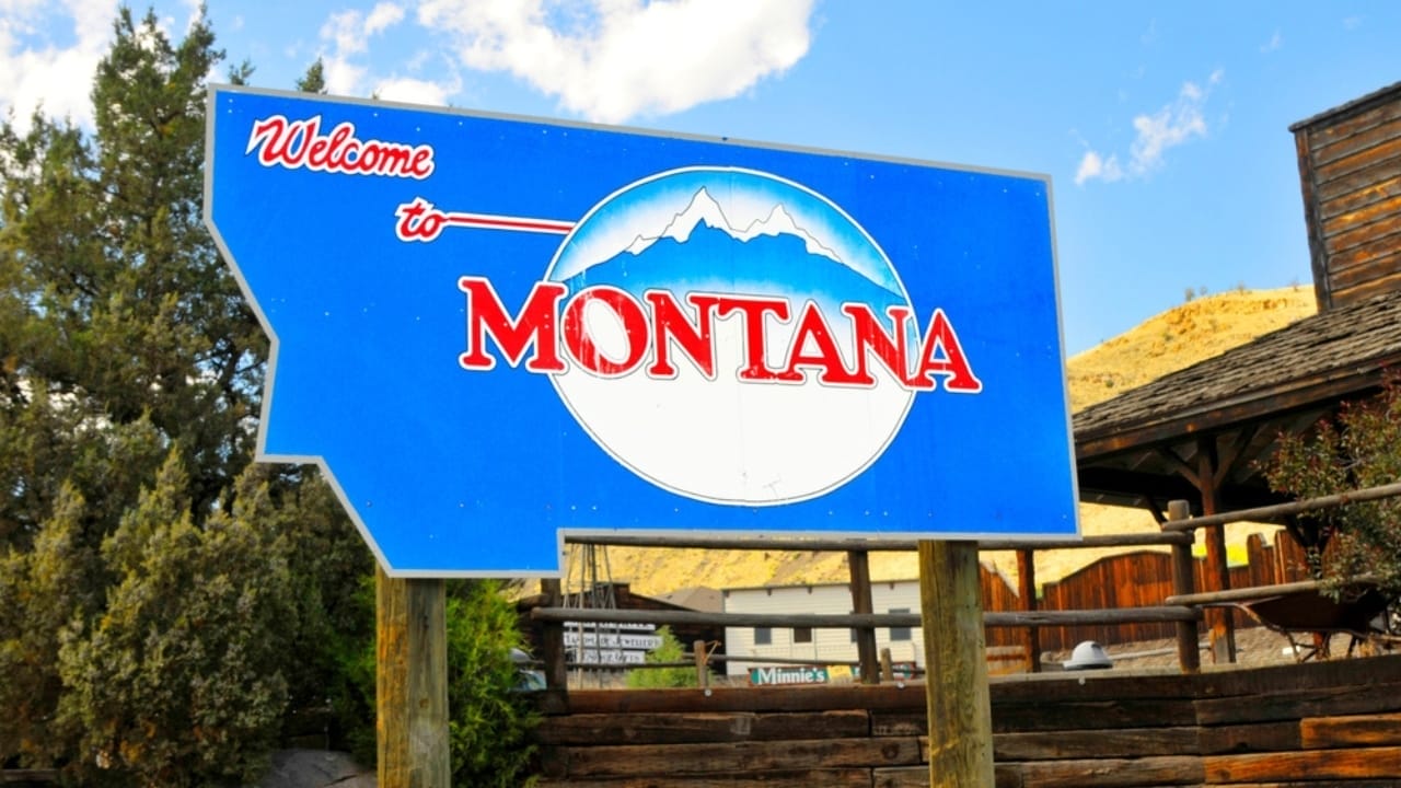 Grizzlies are Making a Comeback in These States with U.S. Government Support - Montana sign ss2376308925