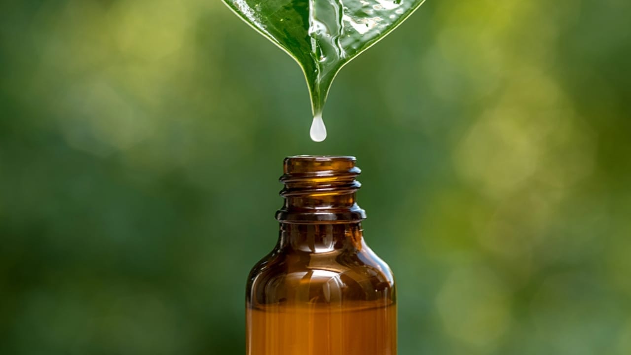 Say Goodbye to Fleas with These 15 Powerful Natural Repellents 10 Say Goodbye to Fleas with These 15 Powerful Natural Repellents - Neem oil dp489805330