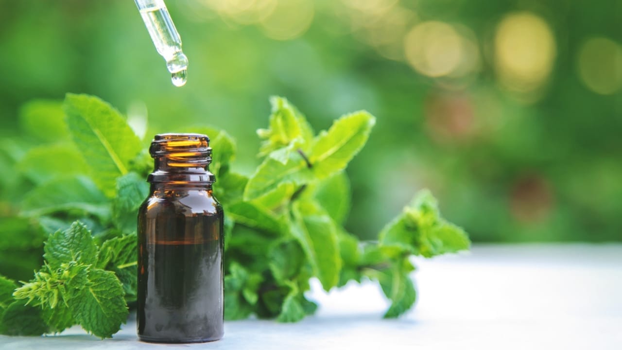 15 Natural Scents to Repel Ants & Keep Your Home Fresh - Peppermint essential oil dp402405734