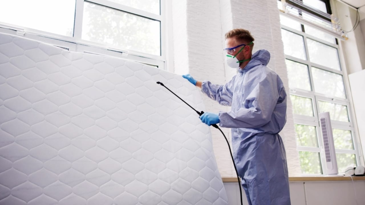 Rubbing Alcohol & Its Effectiveness Against Bed Bugs 5 Rubbing Alcohol & Its Effectiveness Against Bed Bugs - Pest control service bedbug treatment ss2338617457