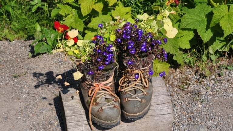 16 Unconventional Garden Containers to Spice Up Your Outdoor Space 4 16 Unconventional Garden Containers to Spice Up Your Outdoor Space - Plant in shoes ss2261026647