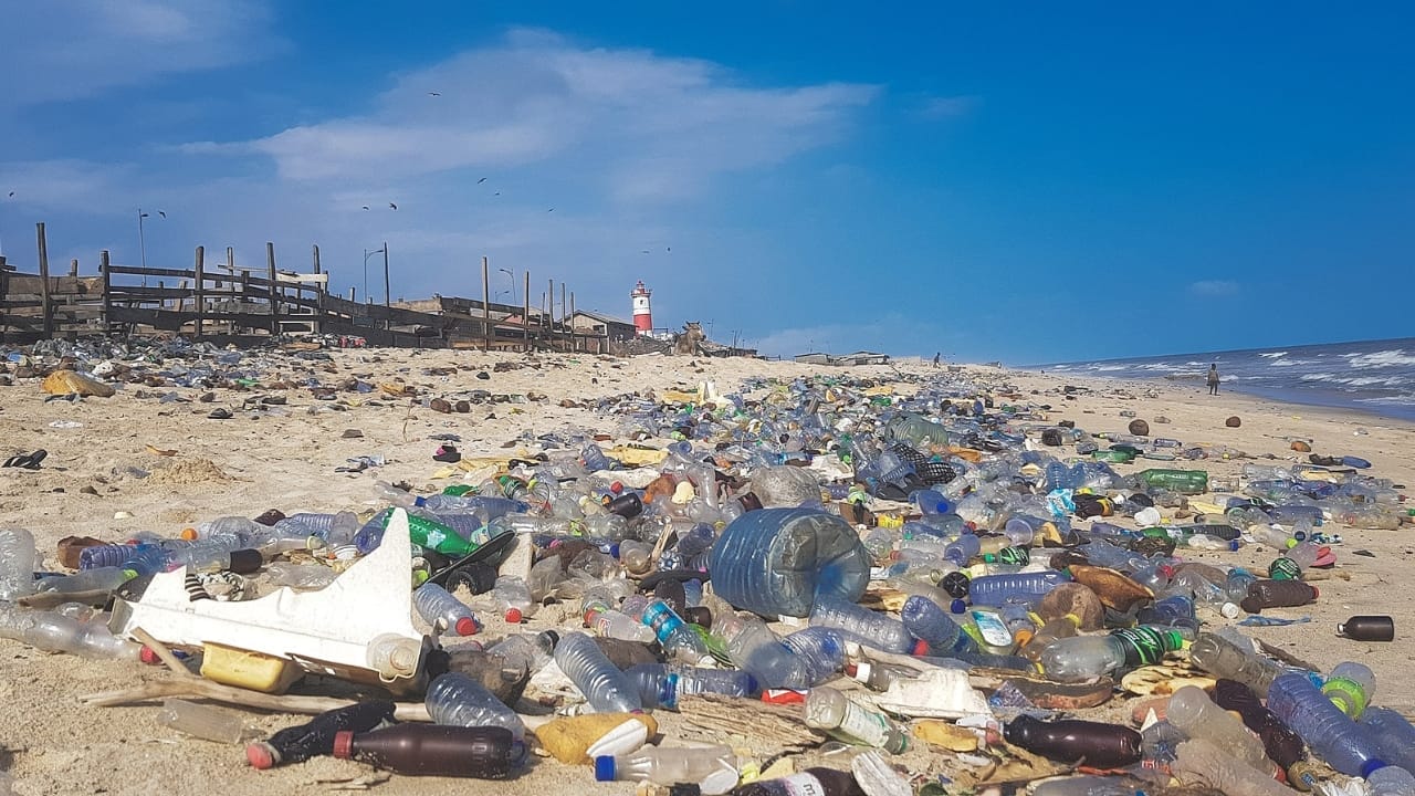 Green Warriors: How Plants are Fighting the Plastic Pollution Crisis - Plastic pollution wc