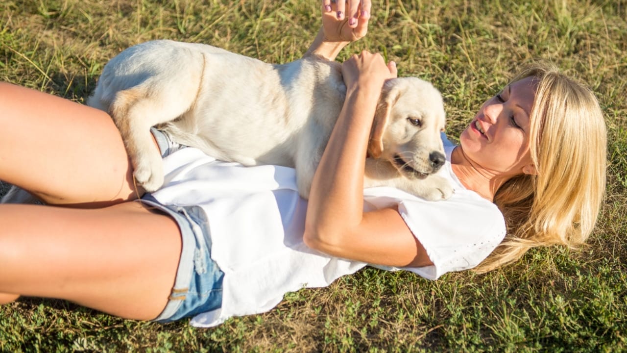 15 Easy Beginner Dog Tricks That Will Make Your Furry Friend a Superstar 12 15 Easy Beginner Dog Tricks That Will Make Your Furry Friend a Superstar - Playful dog hugging woman dp124487168