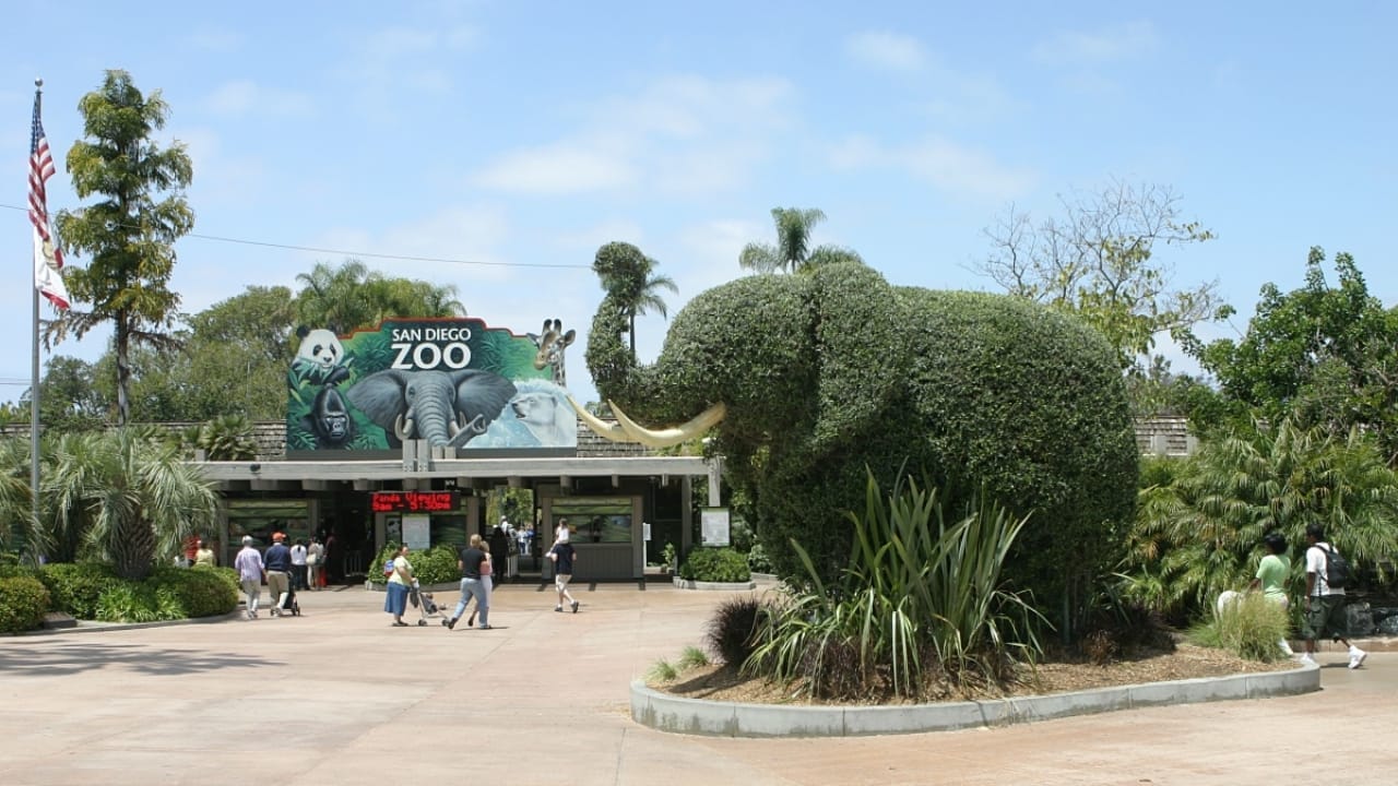 America's Wildlife Wonderlands: The 13 Largest Zoos to Explore - San Diego Zoo wc