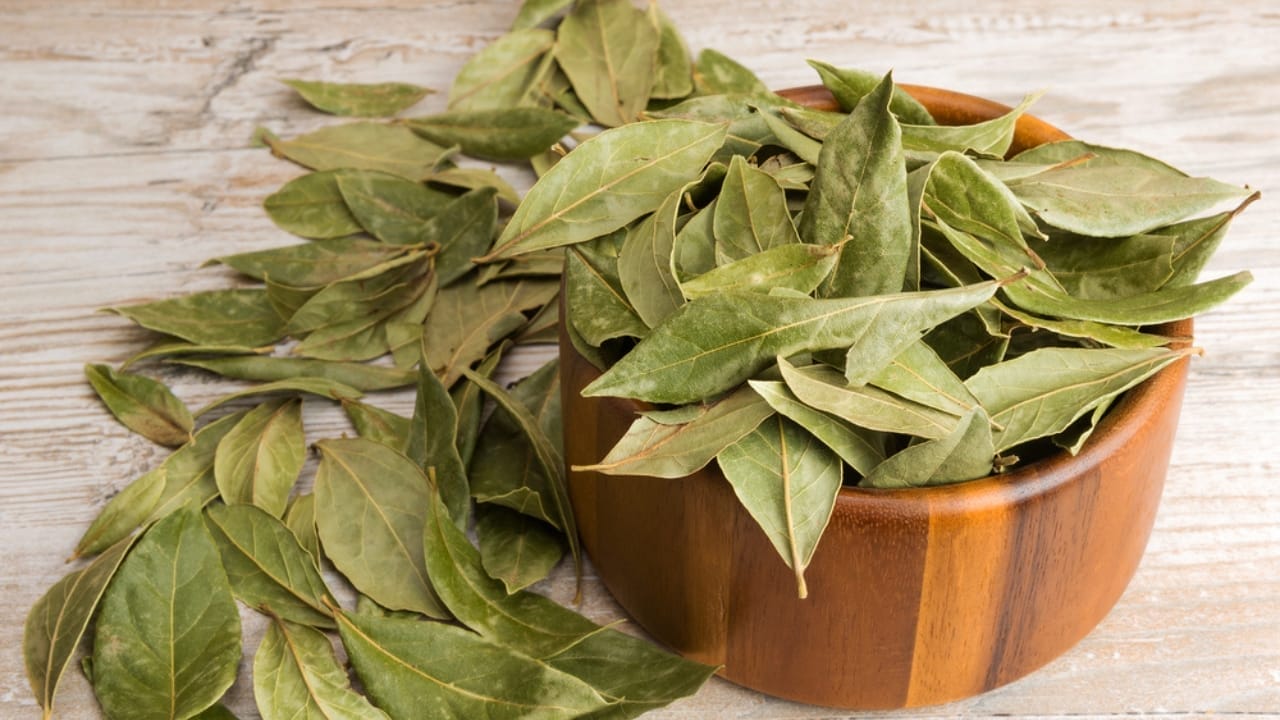 20 Herbs That Keep Giving: Grow Them Once, Enjoy Them for Years 7 20 Herbs That Keep Giving: Grow Them Once, Enjoy Them for Years - Scatter bay leaves dp77163993