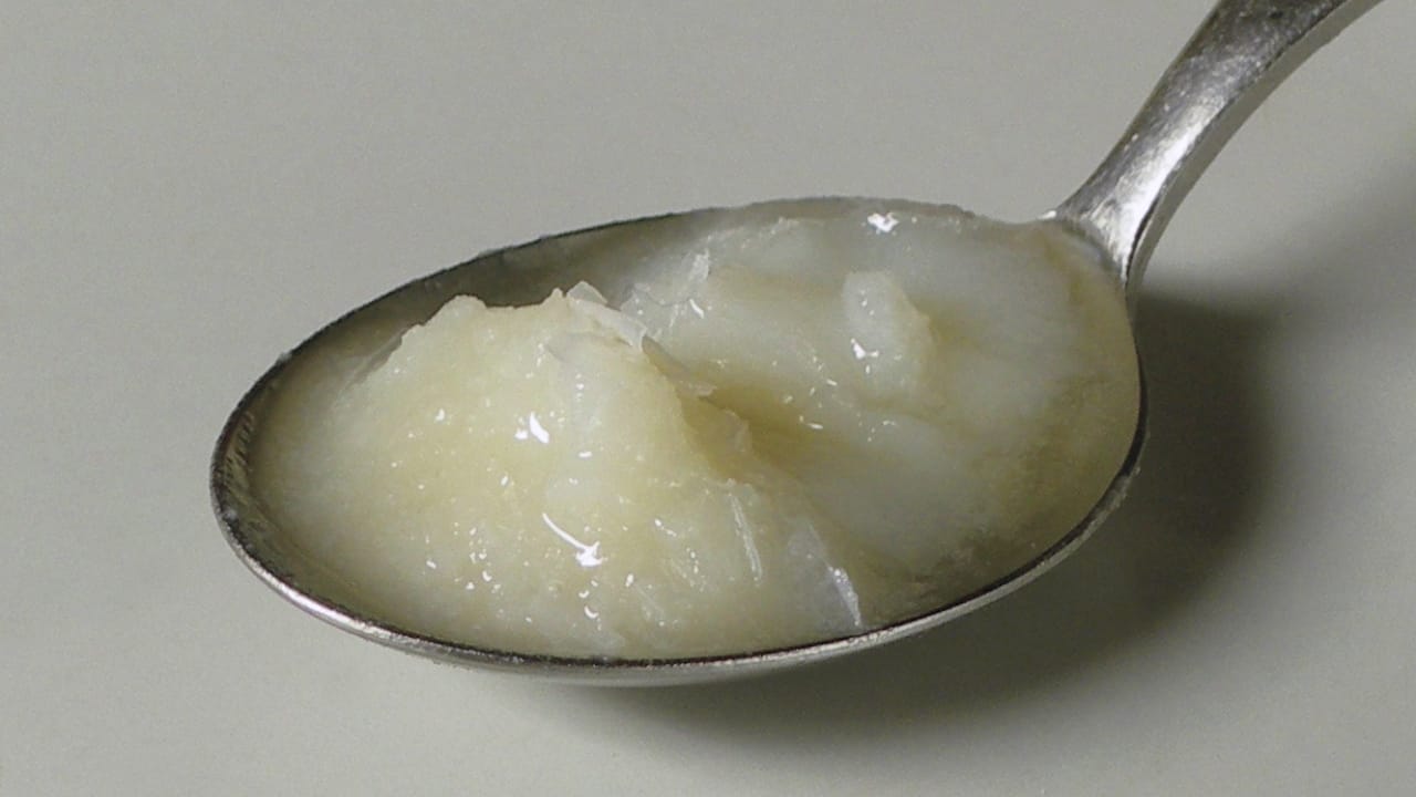 18 Once-Popular Cooking Ingredients You Don’t See Anymore 18 18 Once-Popular Cooking Ingredients You Don’t See Anymore - Schmaltz wc