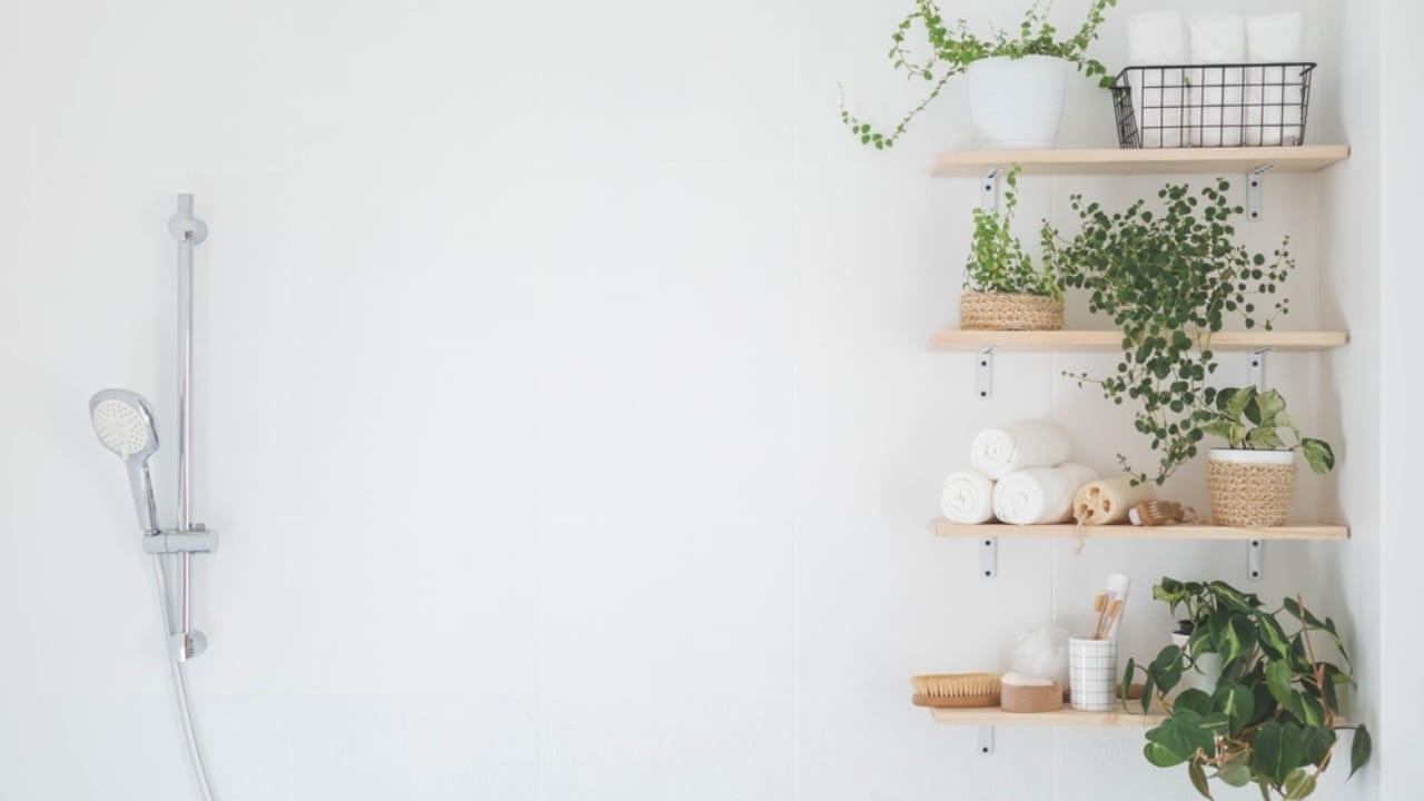 10 Indulgent Items for a Truly Luxurious Shower Experience 11 10 Indulgent Items for a Truly Luxurious Shower Experience - Shower Organizer ss2231877321