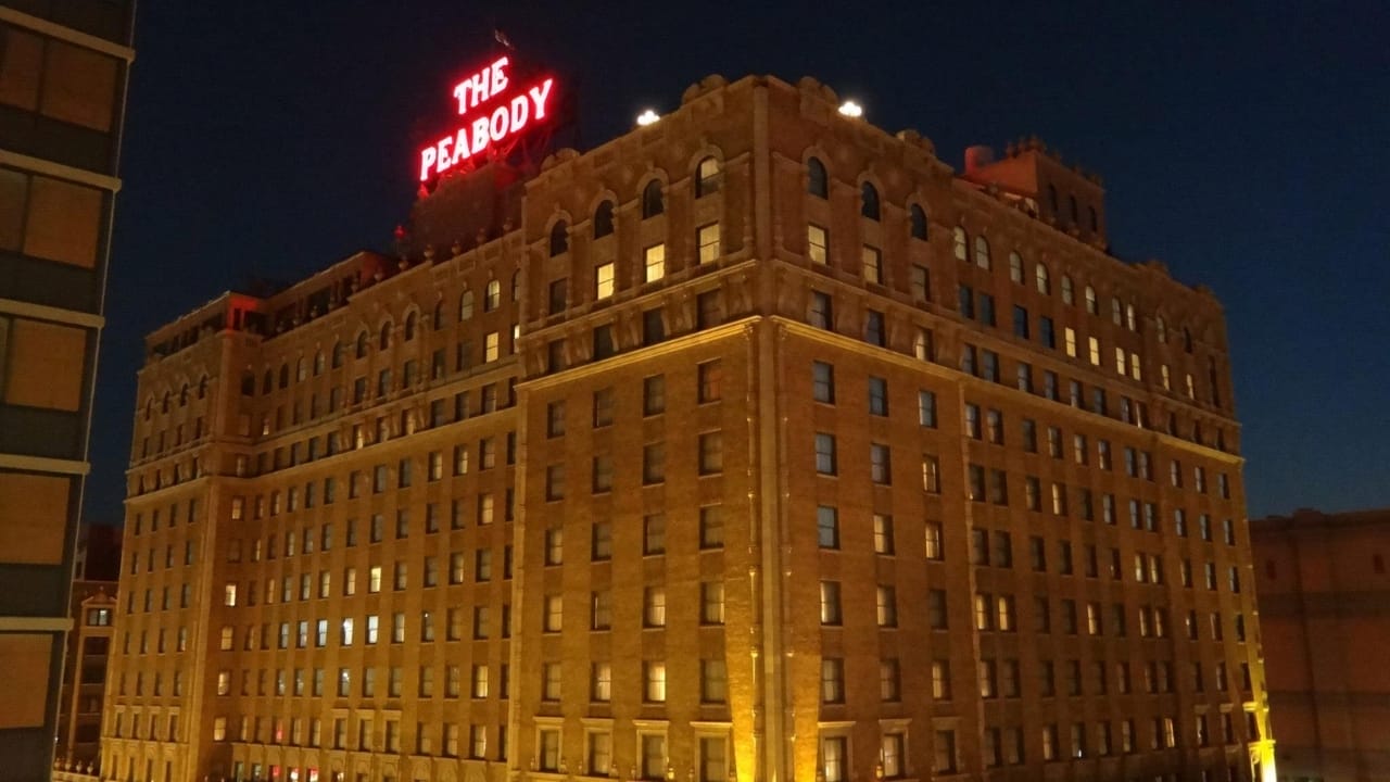 50 of the Best Dog-Friendly Hotels in the U.S. 43 50 of the Best Dog-Friendly Hotels in the U.S. - The Peabody Memphis wc
