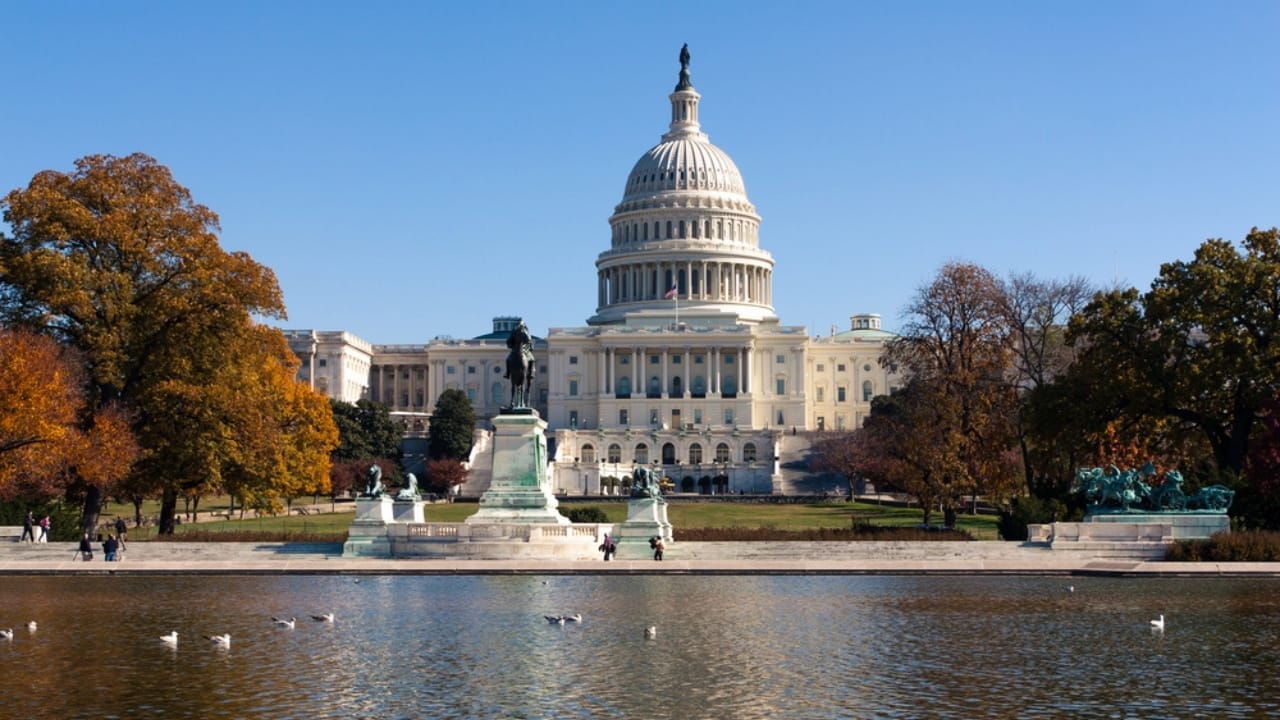 8 States That Put Dogs' Best Interests First in Divorce Proceedings 8 8 States That Put Dogs' Best Interests First in Divorce Proceedings - Washington DC dp17351231