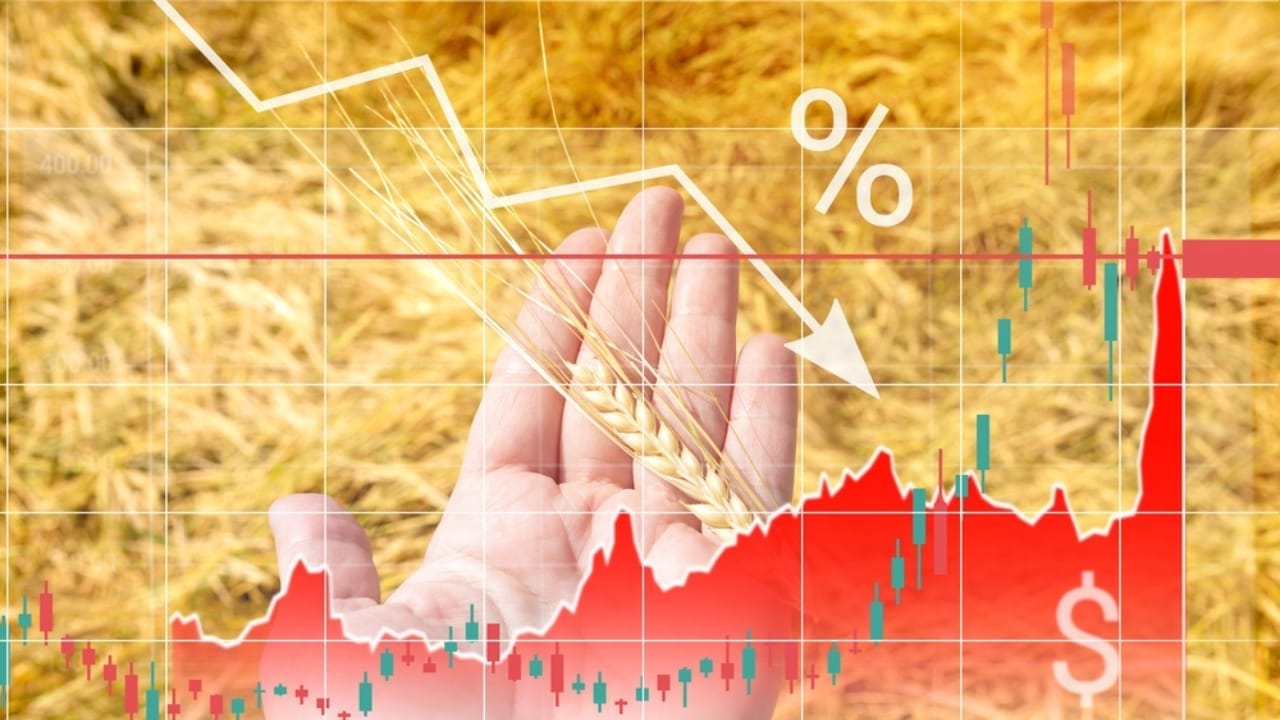 USDA Forecasts the Sharpest Decline in U.S. Farm Income in History 2 USDA Forecasts the Sharpest Decline in U.S. Farm Income in History - Wheat Falling Prices and Rising Costs ss2135915715