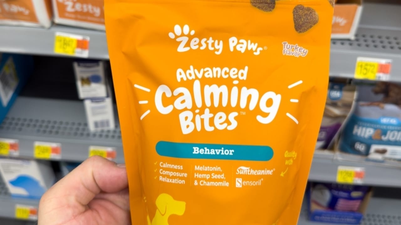 Relax Your Anxious Dog with These 15 Calming Treats 2 Relax Your Anxious Dog with These 15 Calming Treats - Zesty Paws Calming Bites ss2343948505