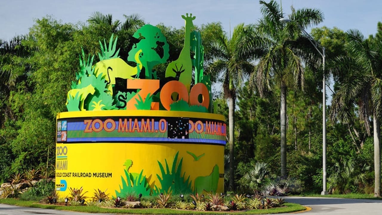 America's Wildlife Wonderlands: The 13 Largest Zoos to Explore - Zoo Miami wc