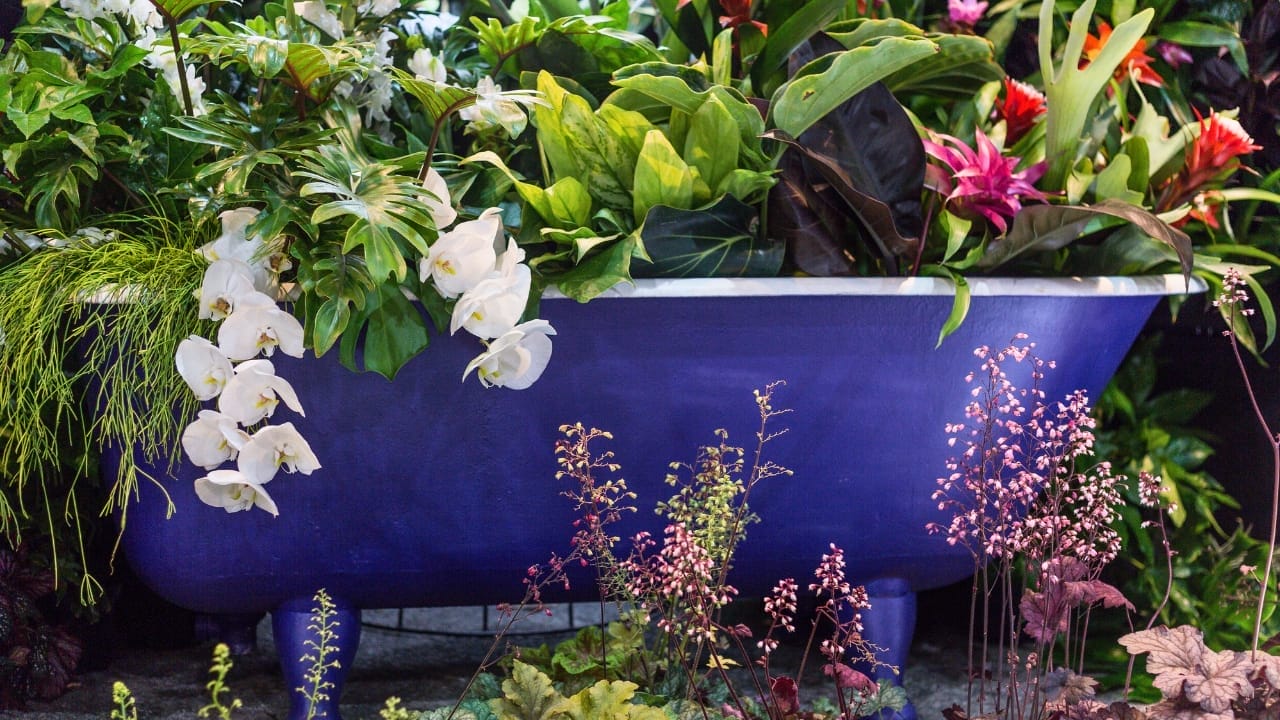 16 Unconventional Garden Containers to Spice Up Your Outdoor Space - bathtub garden flowers ss1095365000