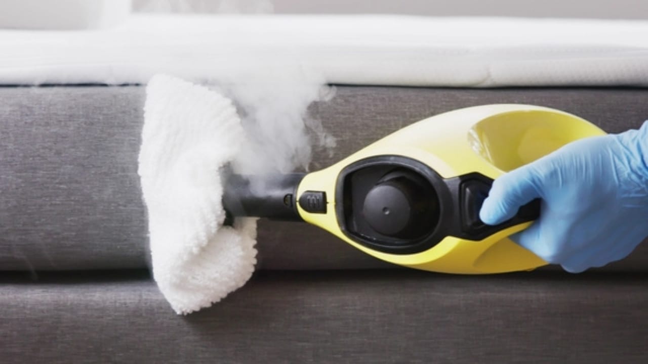 Rubbing Alcohol & Its Effectiveness Against Bed Bugs 4 Rubbing Alcohol & Its Effectiveness Against Bed Bugs - bedbug treatment ss2449048315