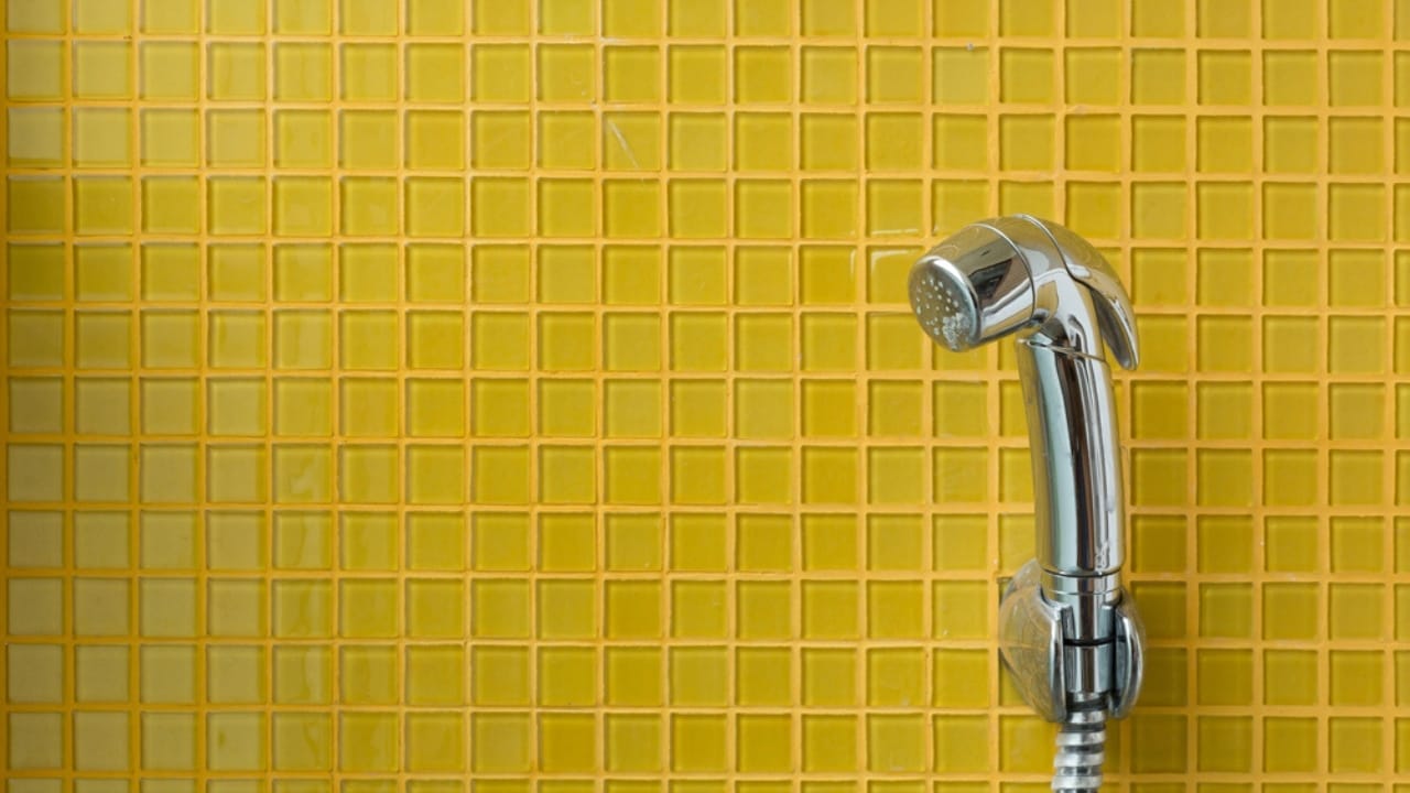 It's Time to Ditch Toilet Paper & Embrace the Bidet 4 It's Time to Ditch Toilet Paper & Embrace the Bidet - bidet dp102981656