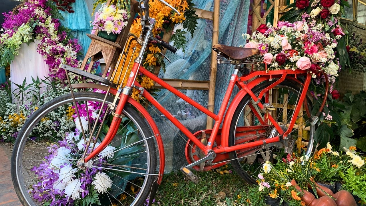 16 Unconventional Garden Containers to Spice Up Your Outdoor Space - bike garden flowers ss1305330673