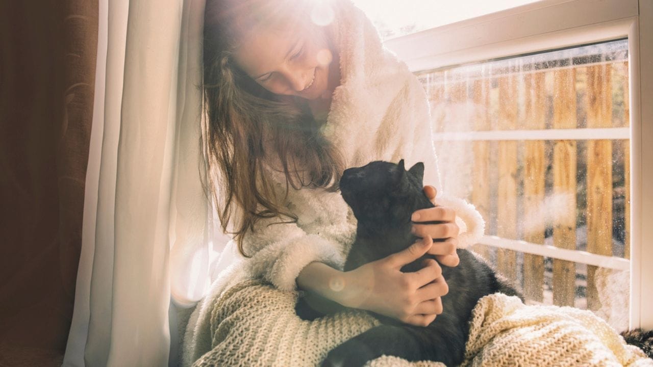 Does Your Cat Have a Favorite Family Member? Here’s Why 3 Does Your Cat Have a Favorite Family Member? Here’s Why - black cat with lady dp176258132