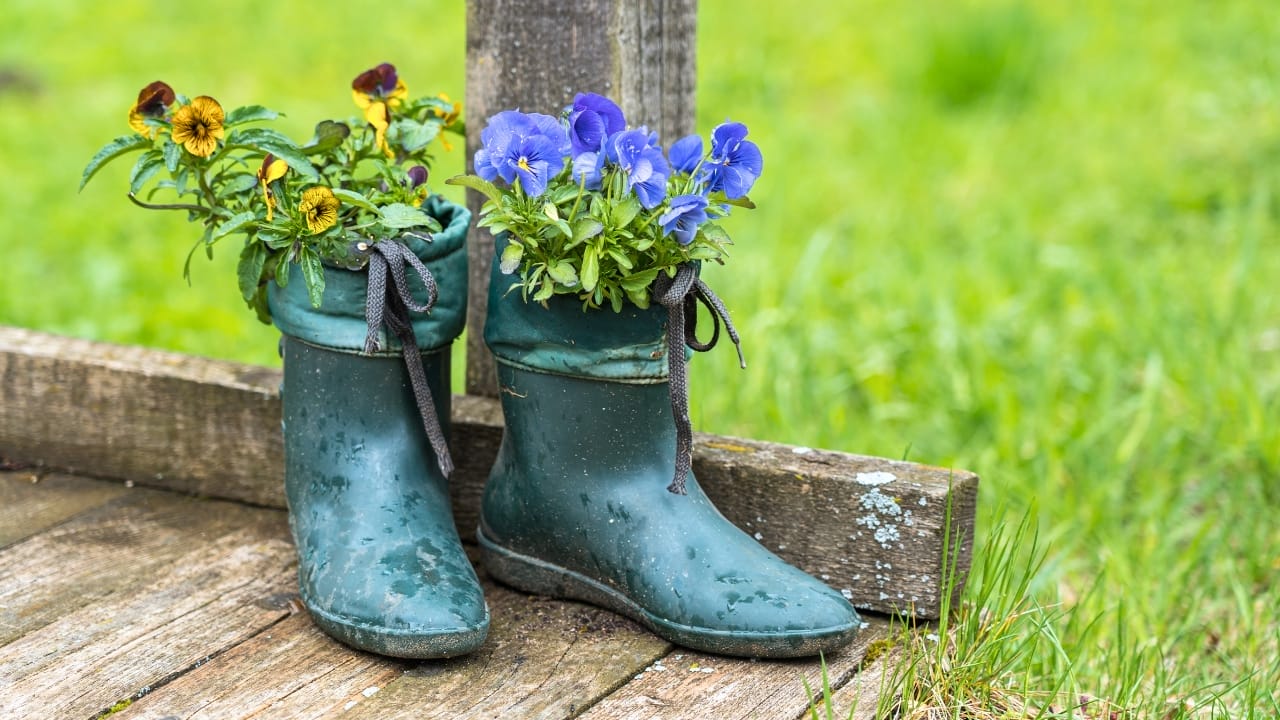 16 Unconventional Garden Containers to Spice Up Your Outdoor Space - boots garden flowers ss2289859185