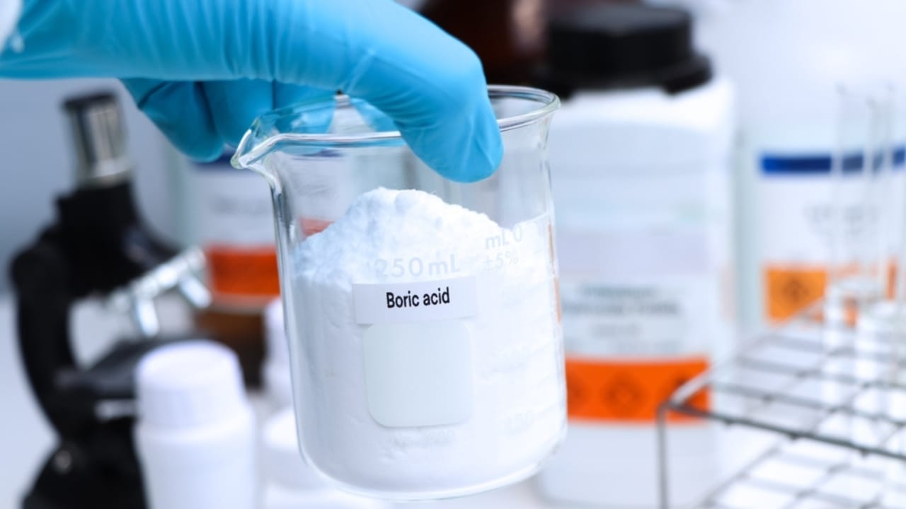 13 Safe & Natural Ways to Eliminate Carpenter Ants for Good 7 13 Safe & Natural Ways to Eliminate Carpenter Ants for Good - boric acid ss2403555347