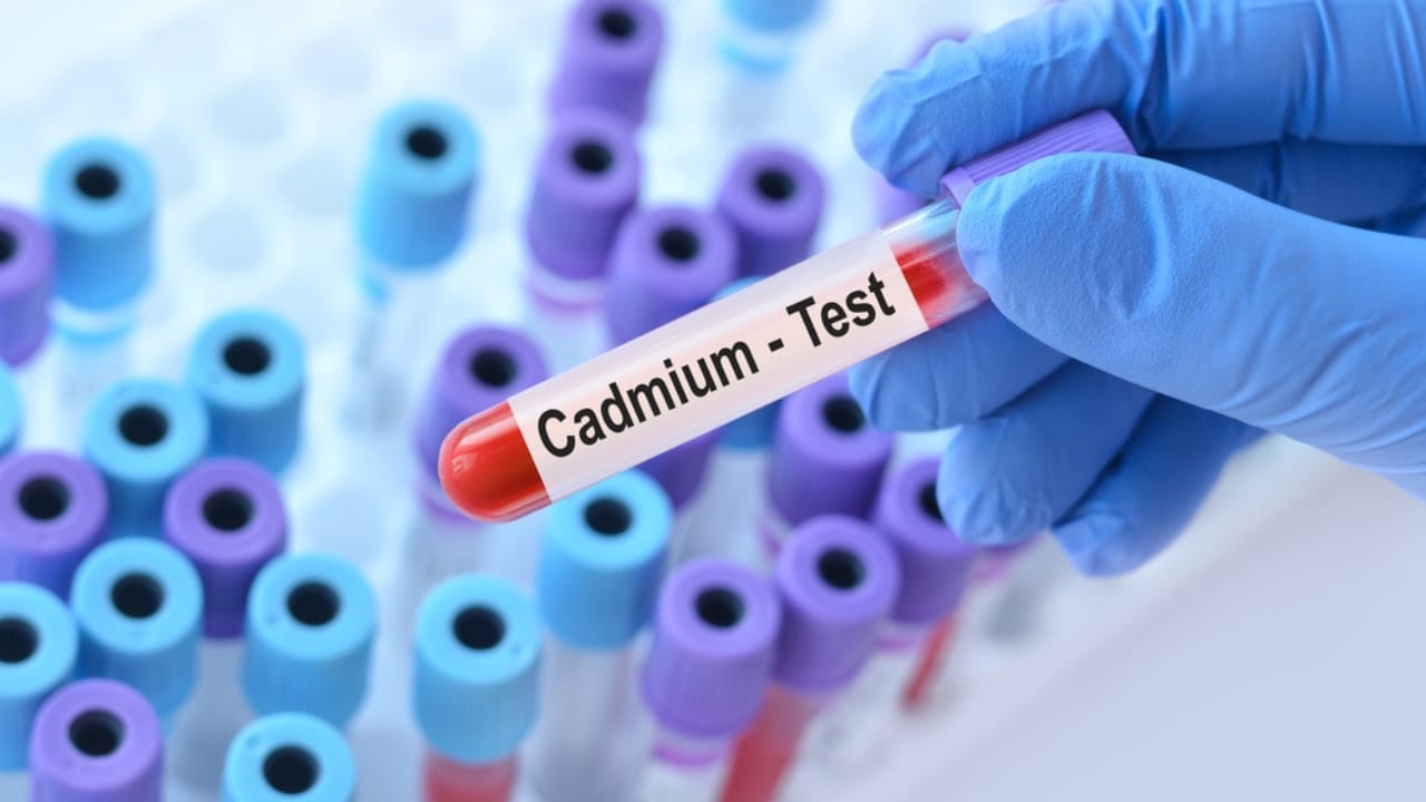 Toxic Metals Linked to Cancer Found in Popular Brands of Dark Chocolate 3 Toxic Metals Linked to Cancer Found in Popular Brands of Dark Chocolate - cadmium blood test dp718925308