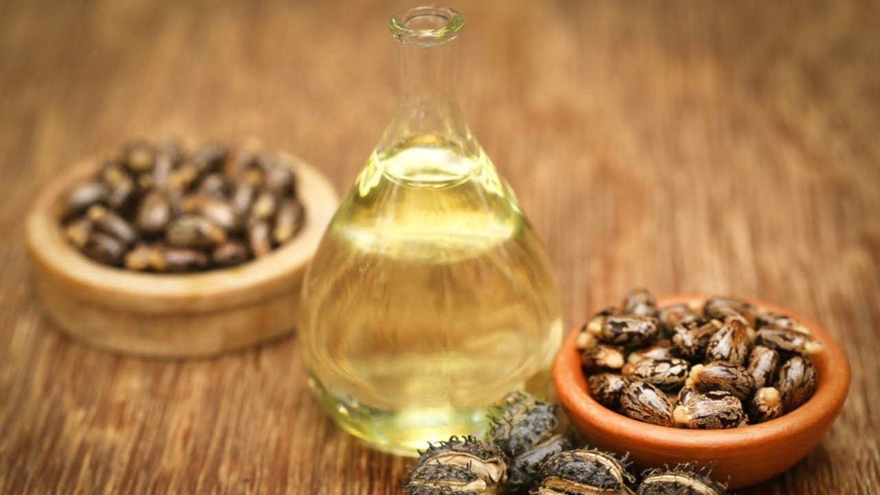 Keep Armadillos Away Naturally: 10 Scents They Can’t Stand 6 Keep Armadillos Away Naturally: 10 Scents They Can’t Stand - castor oil dp105848396