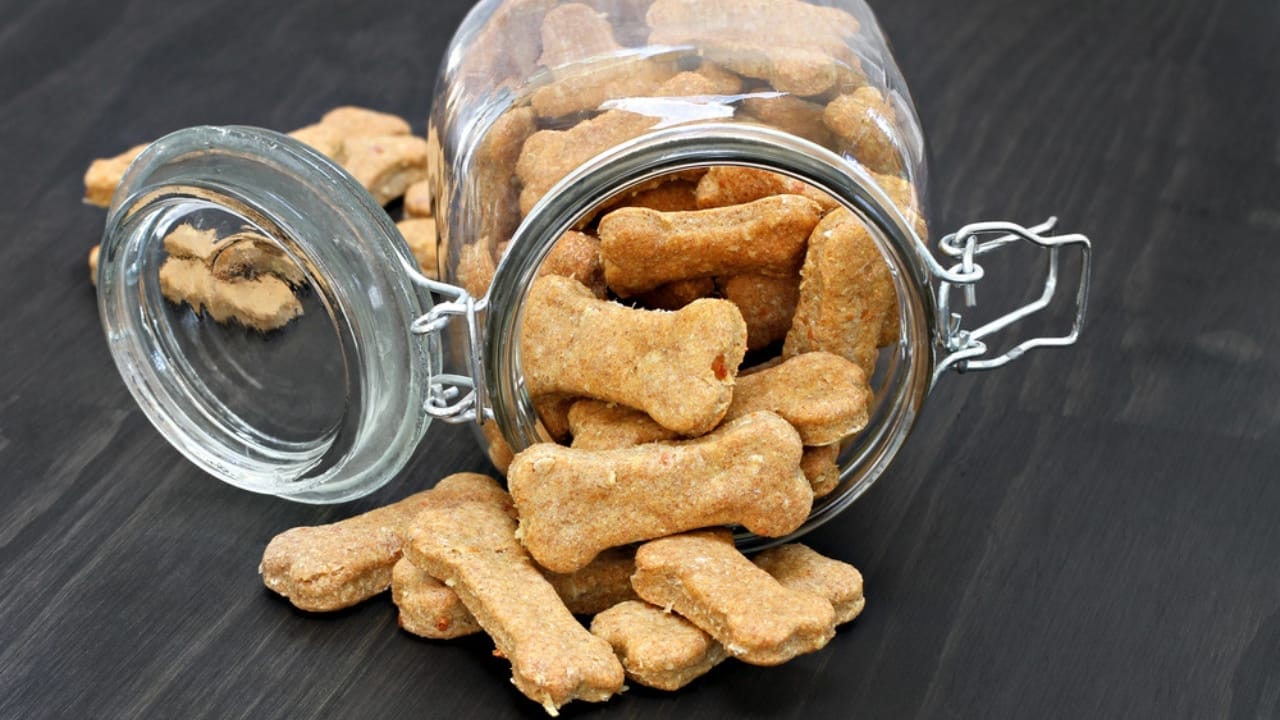Relax Your Anxious Dog with These 15 Calming Treats 16 Relax Your Anxious Dog with These 15 Calming Treats - chew treats dp82085238