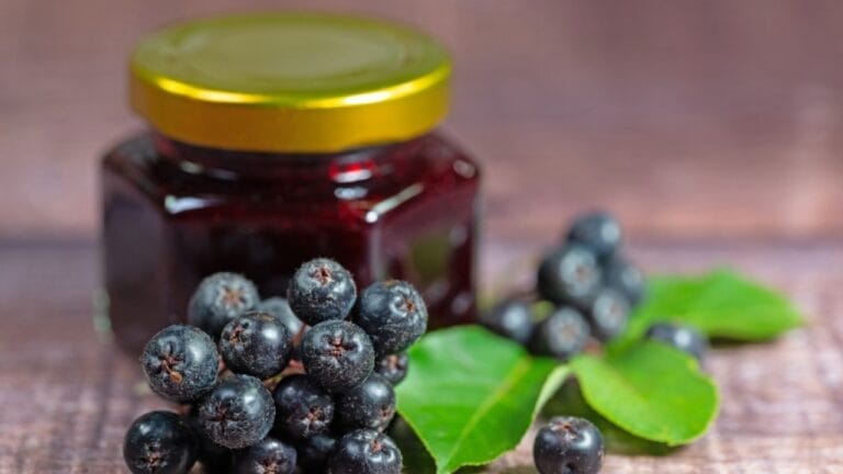 The Sweet & Versatile Wojapi Sauce: A Hidden Gem of Native American History 8 The Sweet & Versatile Wojapi Sauce: A Hidden Gem of Native American History - choke berries and choke berry jam in jar ss2374808475