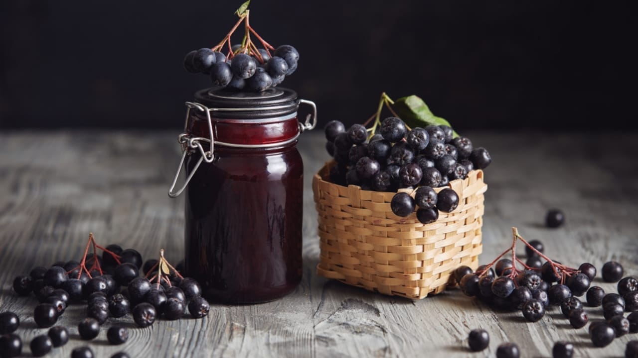 The Sweet & Versatile Wojapi Sauce: A Hidden Gem of Native American History 5 The Sweet & Versatile Wojapi Sauce: A Hidden Gem of Native American History - choke berries jar ss1139148212