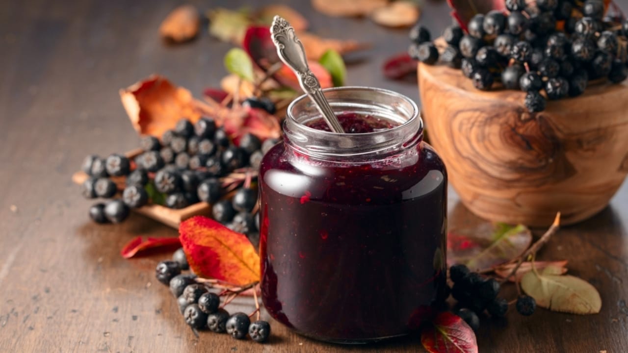 The Sweet & Versatile Wojapi Sauce: A Hidden Gem of Native American History 8 The Sweet & Versatile Wojapi Sauce: A Hidden Gem of Native American History - choke berry jam and fresh berries ss2423734499