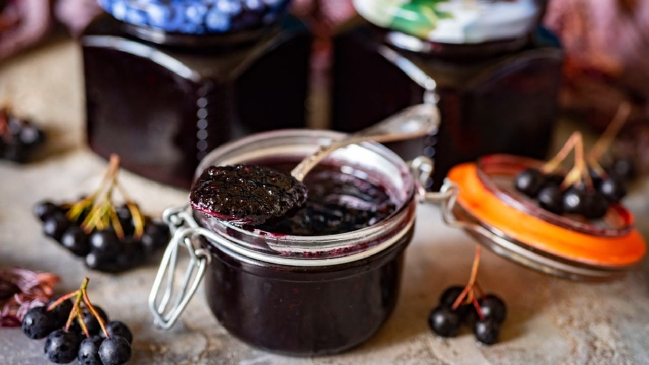 The Sweet & Versatile Wojapi Sauce: A Hidden Gem of Native American History 6 The Sweet & Versatile Wojapi Sauce: A Hidden Gem of Native American History - choke berry ss2478982291