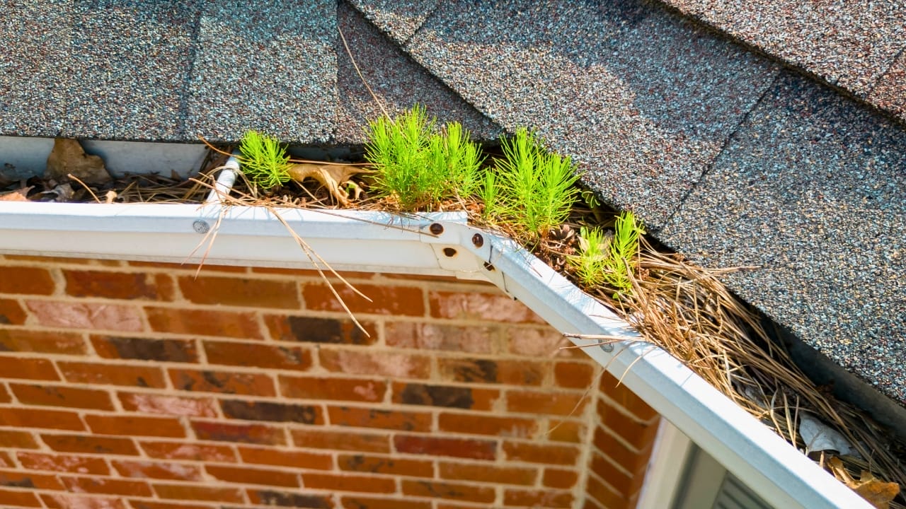 12 Leaf Blower Hacks That Will Change How You Use It Year-Round - clogged gutter ss2310411733