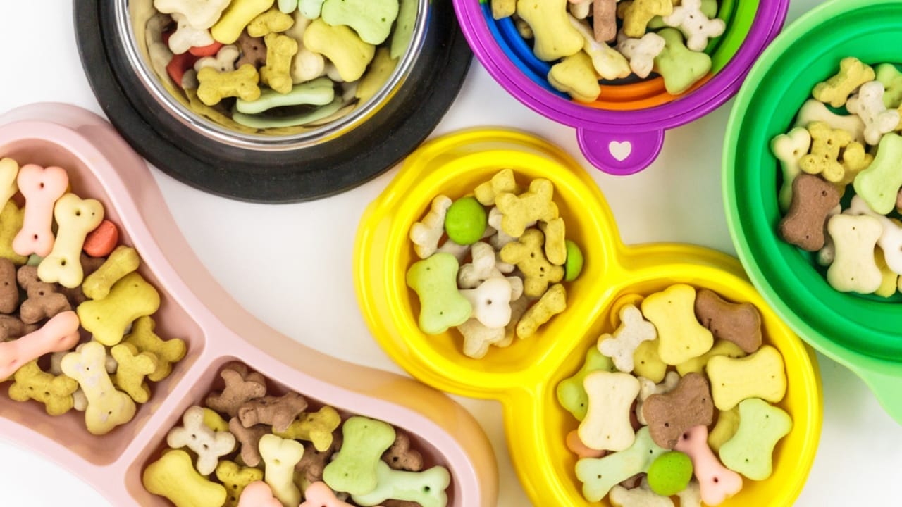 Relax Your Anxious Dog with These 15 Calming Treats 8 Relax Your Anxious Dog with These 15 Calming Treats - colorful treats dp533679782