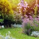Say Goodbye to Weeds with These 15 Creeping Garden Path Plants 21 Say Goodbye to Weeds with These 15 Creeping Garden Path Plants - cottage garden ss2261307183