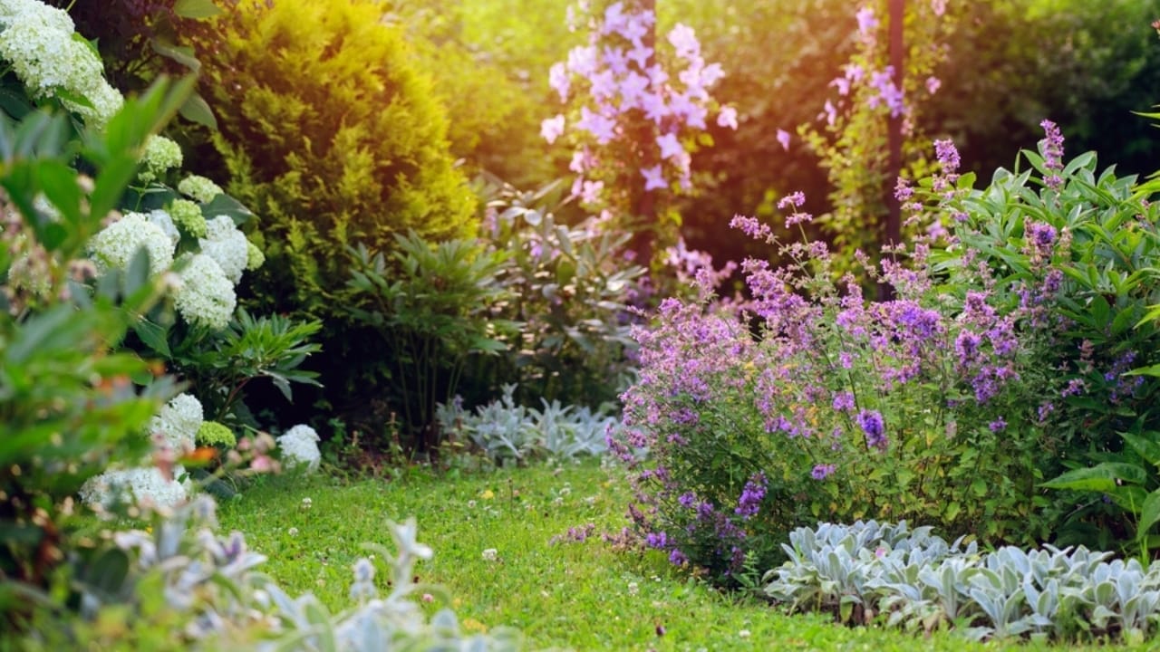 Landscaping Pros Swear by the Rule of Three—Here’s How to Apply It to Your Garden - cottage garden ss2261307183