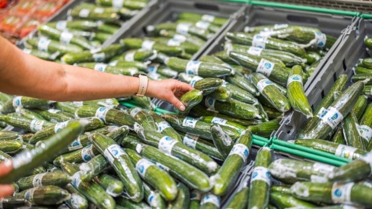 Why Cucumbers are Wrapped in Plastic—and Why it’s a Good Thing 2 Why Cucumbers are Wrapped in Plastic—and Why it’s a Good Thing - cucumber wrapped in vacuum plastic packaging ss2476461345
