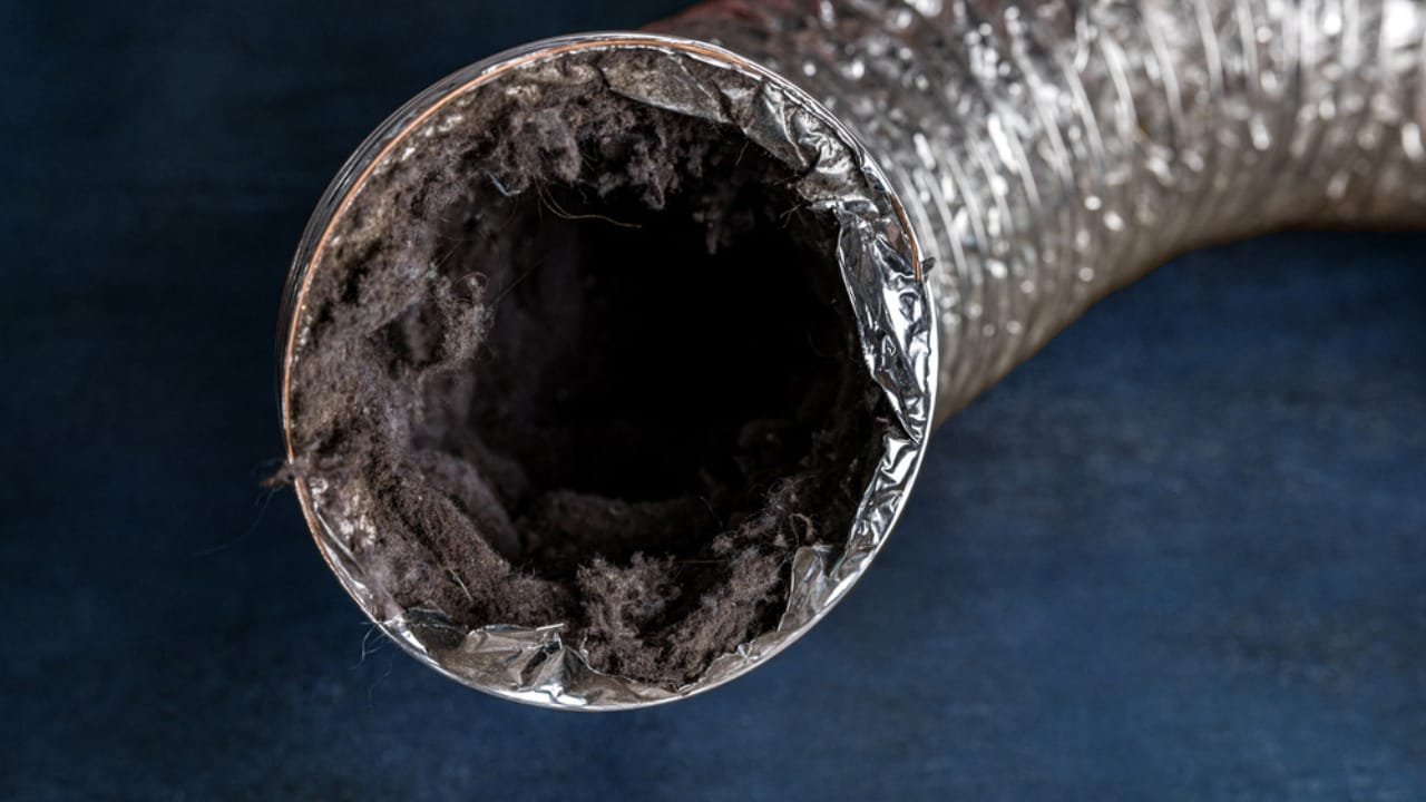 Homeowners, Don’t Skip These 15 Yearly Tasks to Save Serious Money Over Time - dirty Dryer Vent dp627070156
