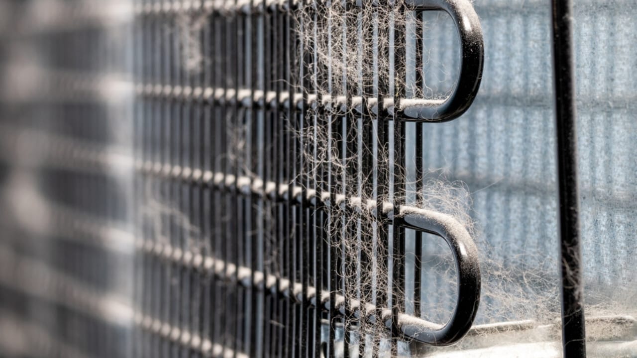 Homeowners, Don’t Skip These 15 Yearly Tasks to Save Serious Money Over Time 9 Homeowners, Don’t Skip These 15 Yearly Tasks to Save Serious Money Over Time - dirty refrigerator coil ss1878792160