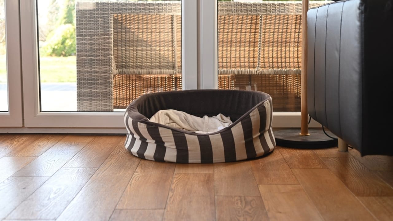 New Puppy Starter Kit: 15 Items to Make Their First Year Easy 2 New Puppy Starter Kit: 15 Items to Make Their First Year Easy - dog bed ss2137708445