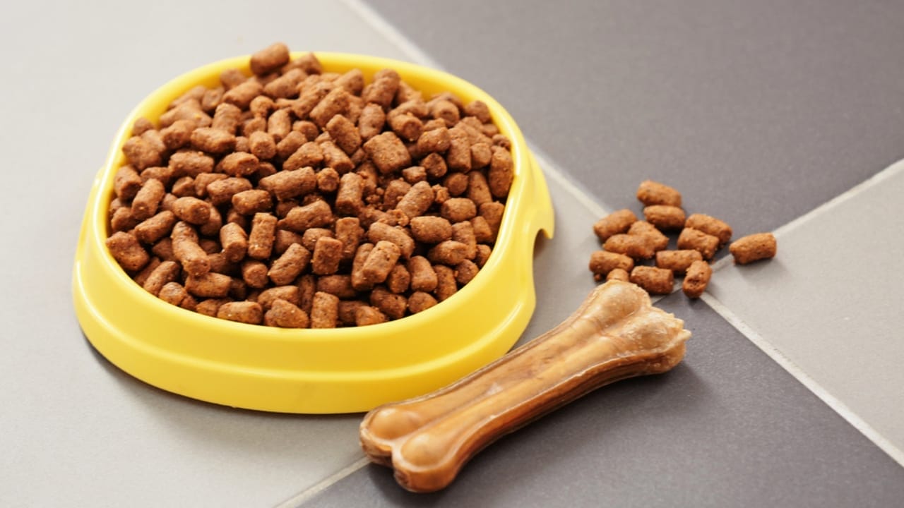 Relax Your Anxious Dog with These 15 Calming Treats 11 Relax Your Anxious Dog with These 15 Calming Treats - dog cat soft chews dp111462416