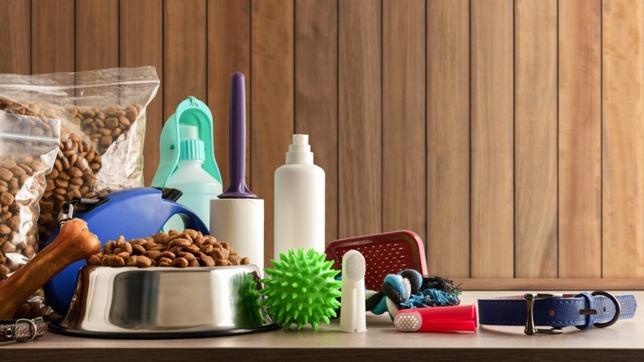 Bringing a Rescue Dog Home... Follow These 12 Steps for Success 3 Bringing a Rescue Dog Home... Follow These 12 Steps for Success - dog essentials ss2045813696