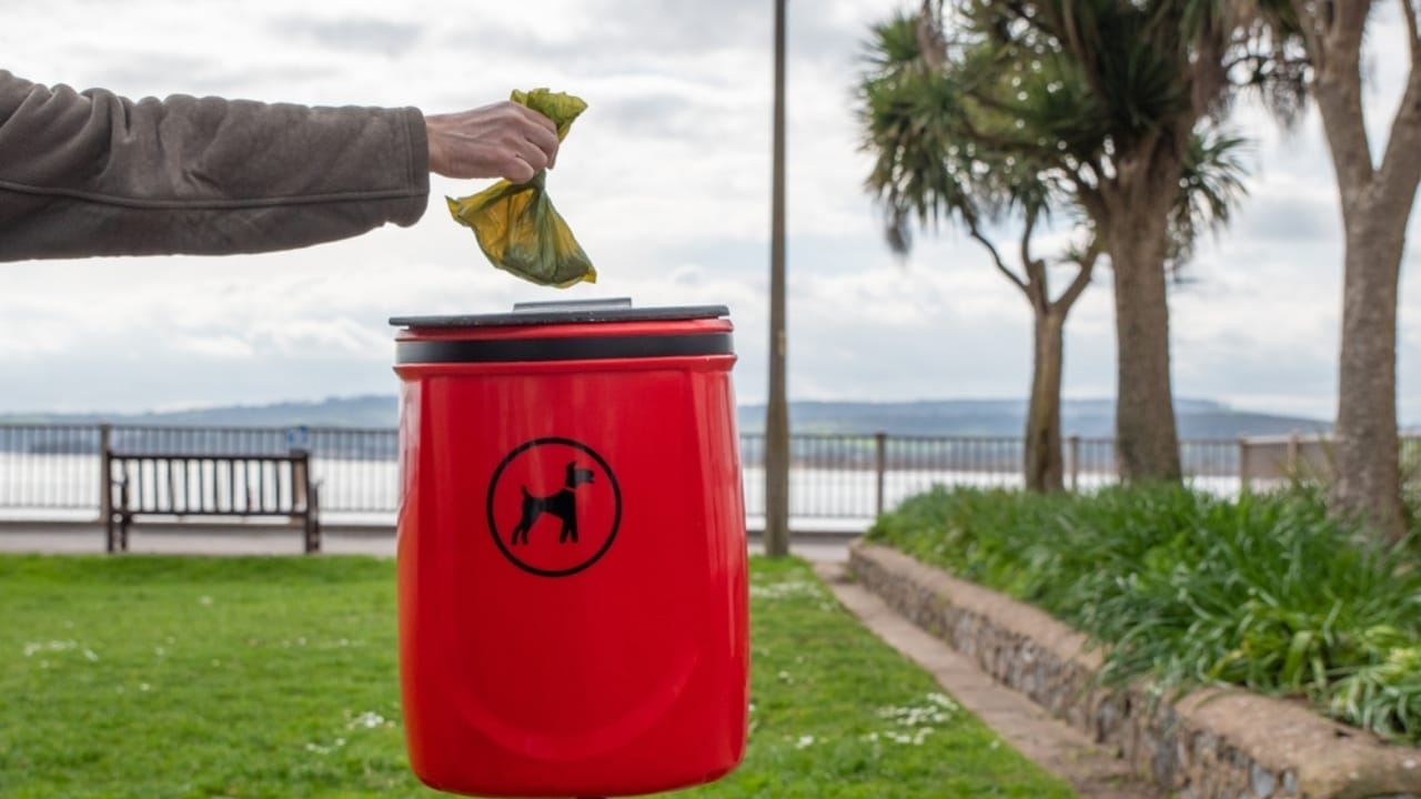 15 Reasons Why Dog Poop is a Serious Health Hazard 3 15 Reasons Why Dog Poop is a Serious Health Hazard - dog waste ss2442222871