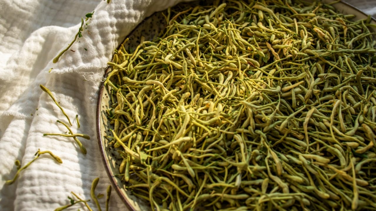 The Power of Honeysuckle: Exploring Its Edible & Medicinal Potential 7 The Power of Honeysuckle: Exploring Its Edible & Medicinal Potential - dried honeysuckle flower tea ss1633627078