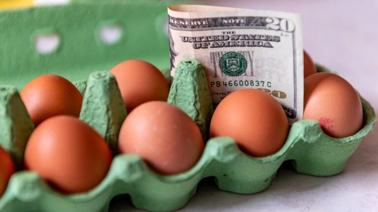 Scrambled Market: Egg Prices Set to Rise—Here’s What’s Really Behind It - eggs ss2341393933