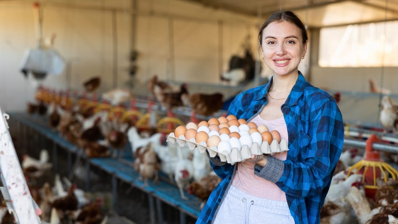 16 Reasons Backyard Chickens Belong in Your Home’s Backyard 17 16 Reasons Backyard Chickens Belong in Your Home’s Backyard - eggs ss2431912287
