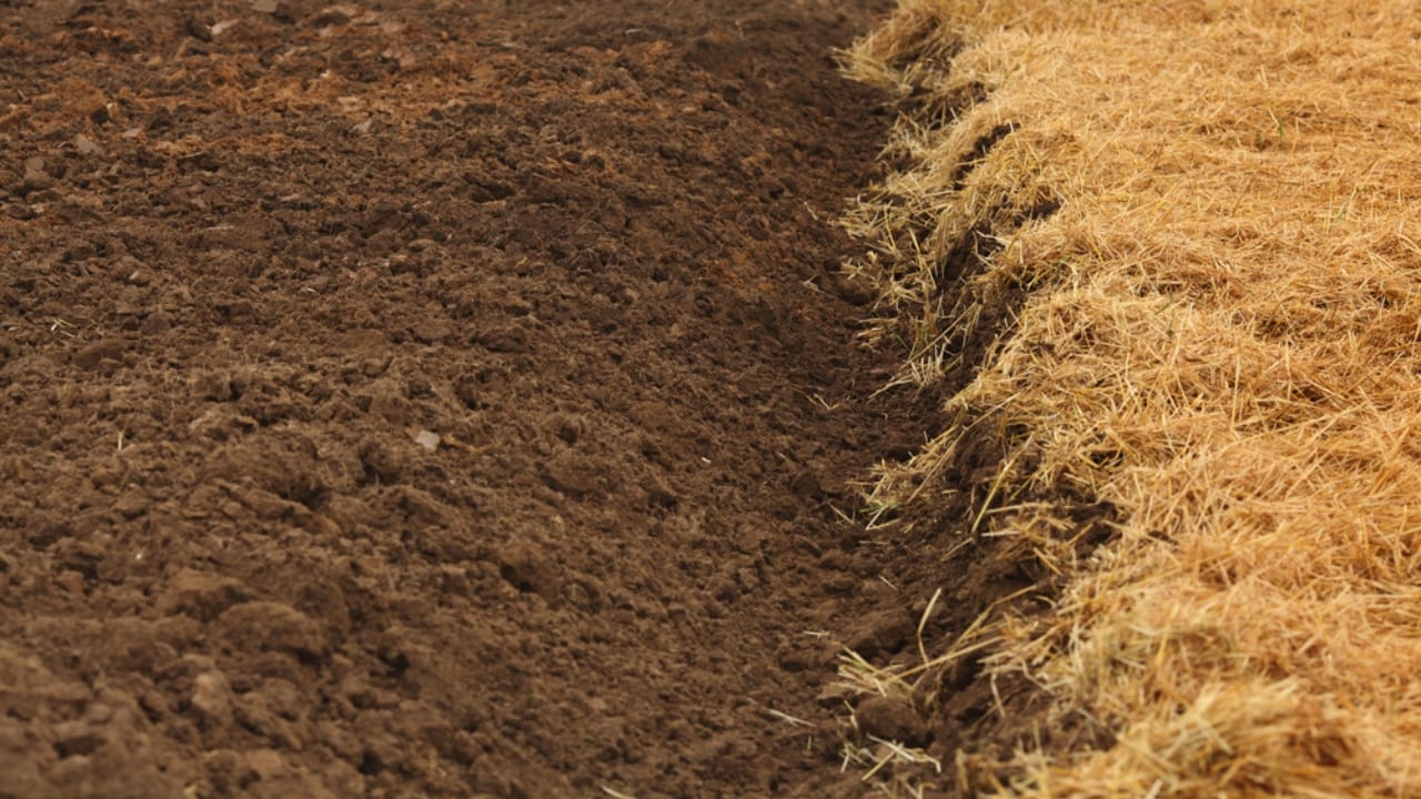 Ruth Stout’s ‘No-Work’ Gardening Method Made Simple: A Guide for Beginners 3 Ruth Stout’s ‘No-Work’ Gardening Method Made Simple: A Guide for Beginners - field with straw and soil dp22162913
