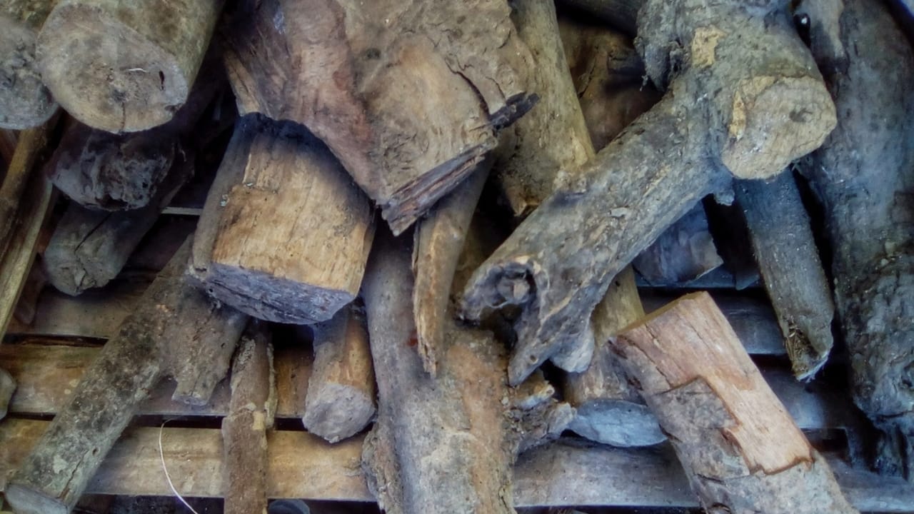 Think Twice Before Stacking Wood Against Your Home—Here’s Why 3 Think Twice Before Stacking Wood Against Your Home—Here’s Why - firewood rotting ss2271475311