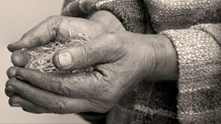 10 Unheard-of Foods That Became Lifesavers During Famine & Shortages 6 10 Unheard-of Foods That Became Lifesavers During Famine & Shortages - food poor ss2454821573