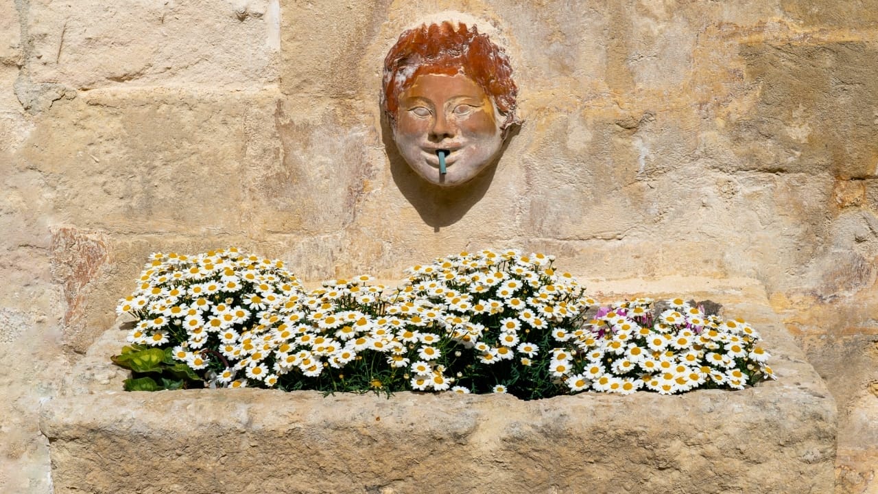 16 Unconventional Garden Containers to Spice Up Your Outdoor Space - fountain planter ss2394718935