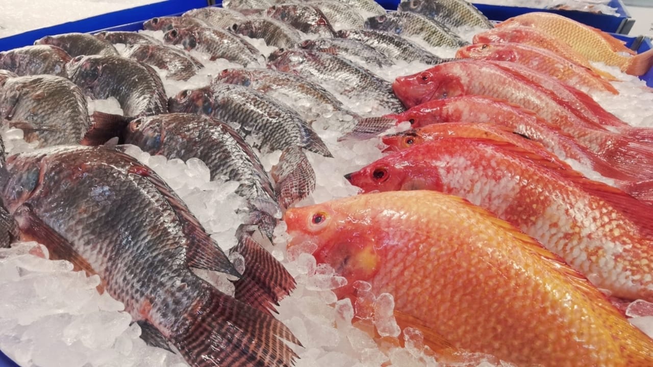 15 Foods in Your Fridge That Spoil Faster Than You Think 7 15 Foods in Your Fridge That Spoil Faster Than You Think - fresh fish ss2471023839